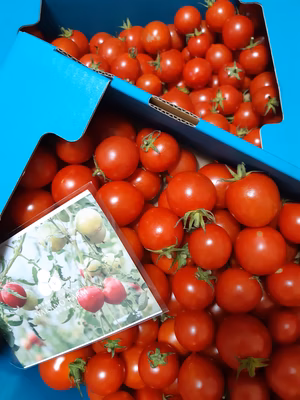 みんなの投稿の画像