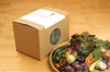 【お歳暮対応】土の子野菜縁起箱（農薬化学肥料不使用栽培）