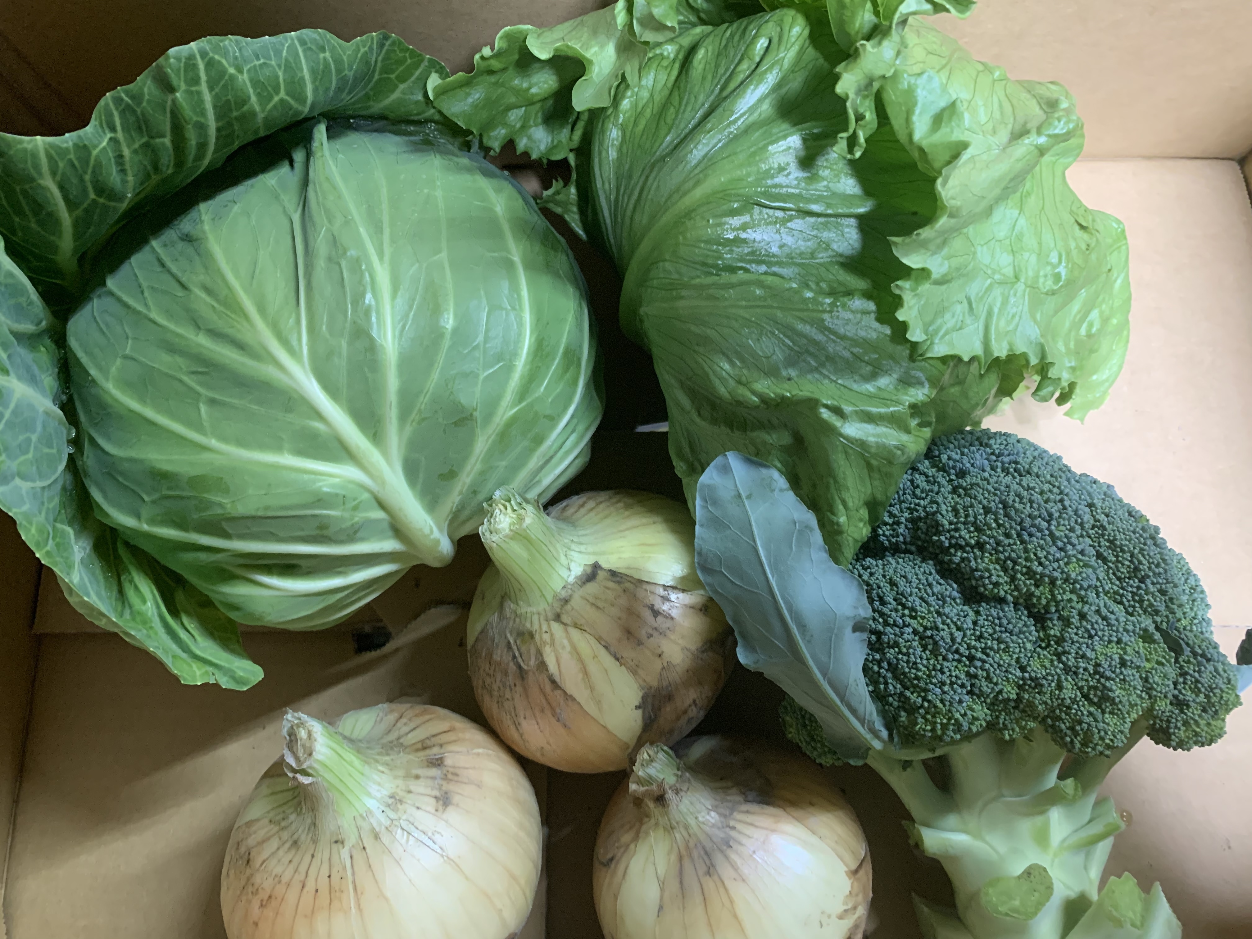 旬の野菜セット❗️新玉ねぎ入り 旬の野菜セット