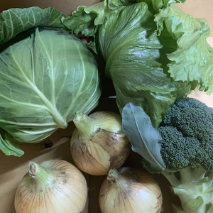 旬の野菜セット❗️玉ねぎ入り