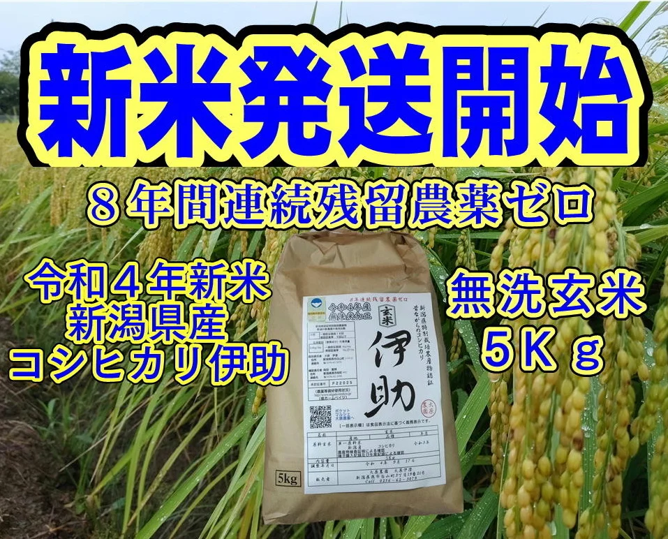 新米 新潟産コシヒカリ伊助 8年連続残留農薬ゼロ確定  無洗玄米 5Kg