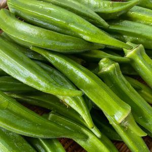 はなまる農園のおくら　１キロ