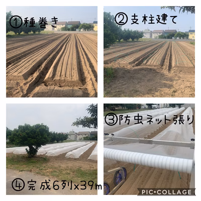 みんなの投稿の画像