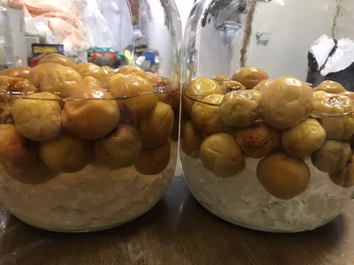 みんなの投稿の画像