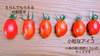【お試し】小粒なアイコ@ちょいキズミニトマト