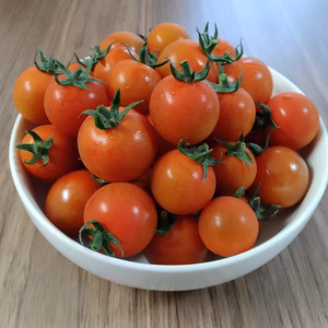 【サマー千果】訳アリだけど美味しいミニトマト