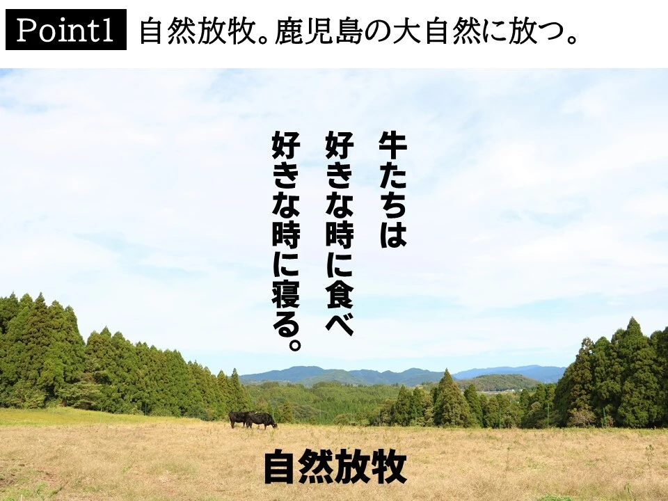 【お試しBOX】里山牛 訳あり福箱Special・第三弾セット 出会いの宝箱♪
