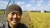 【30年産】　毎日おいしく無肥料特別栽培コシヒカリ玄米5kｇ　