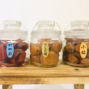 紀州南高梅お勧め３種セット 完熟梅ジャム　はちみつ小梅500g