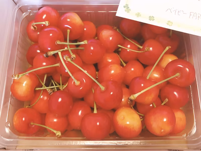 みんなの投稿の画像