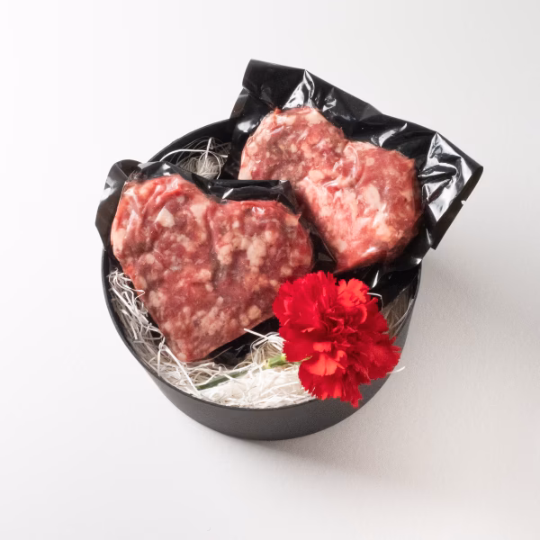 【母の日間に合います】カーネーション付き！ あか牛ハンバーグギフトセット