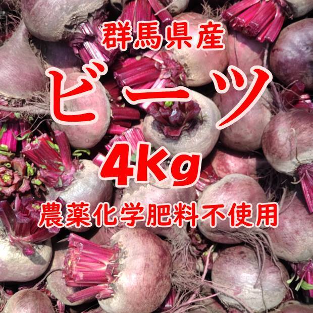 群馬県産】ビーツ ４kg【化学肥料不使用】｜野菜の商品詳細｜ポケット