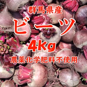 【群馬県産】ビーツ ４kg【化学肥料不使用】