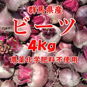 【群馬県産】ビーツ ４kg【化学肥料不使用】