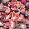 【群馬県産】ビーツ ４kg【化学肥料不使用】