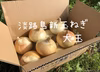 期間限定価格！！淡路島新たまねぎ大玉LL4.5kg.9kg（訳あり）