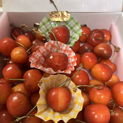 みんなの投稿の画像