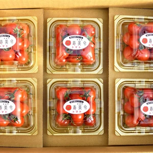寿美令トマト（150g×6個／ダンボール発送）フルーツトマト　ミニトマト