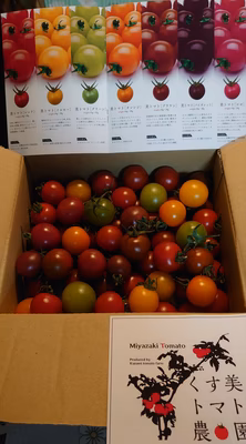 みんなの投稿の画像