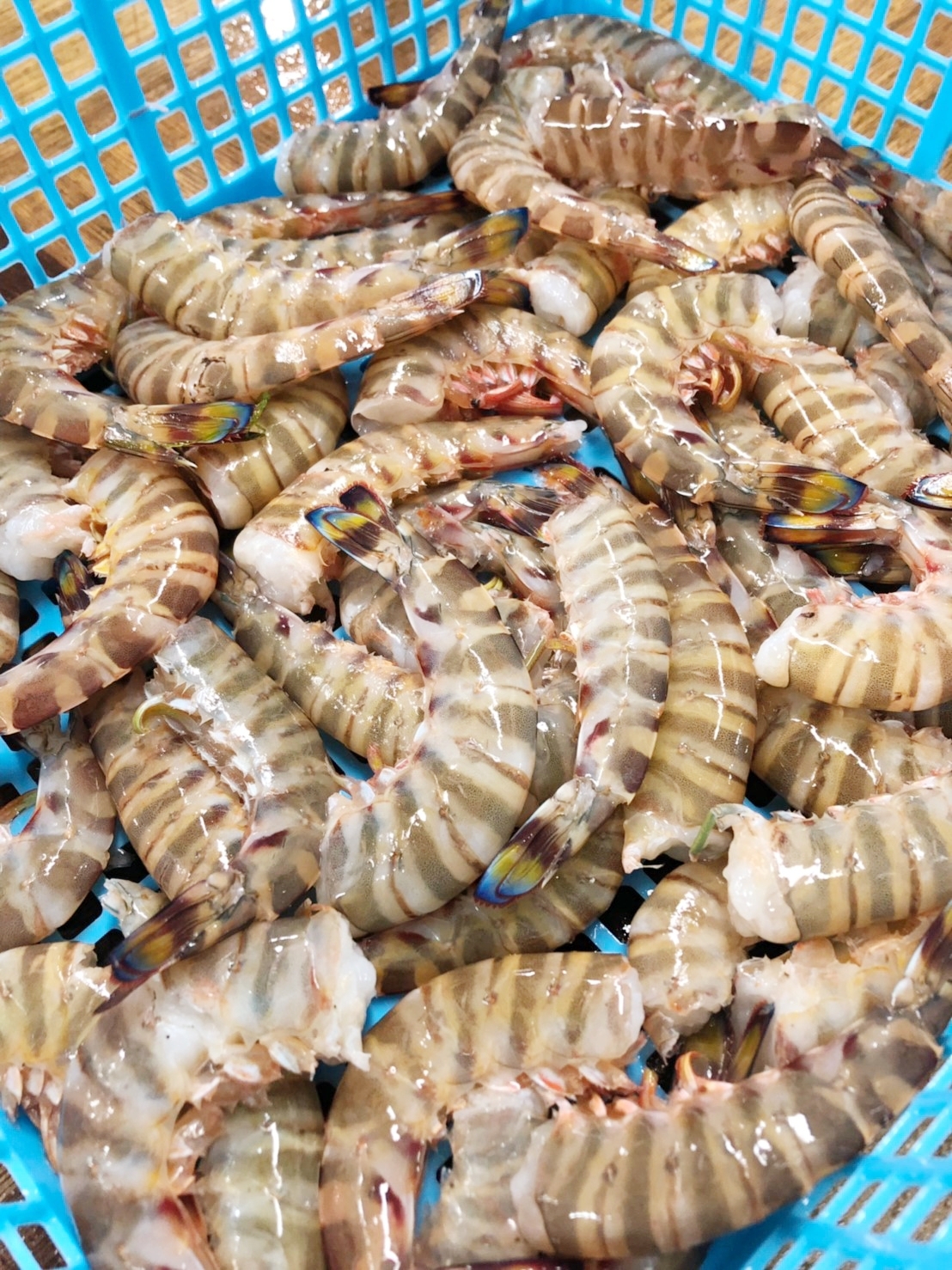 竹富島産 訳あり 無頭冷凍車えび 1kg 500g 2 農家漁師から産地直送の通販 ポケットマルシェ