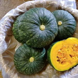 【かぼちゃ入り！】日常使用する野菜を中心とした季節の野菜セット