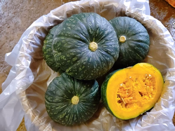 【かぼちゃ入り！】日常使用する野菜を中心とした季節の野菜セット