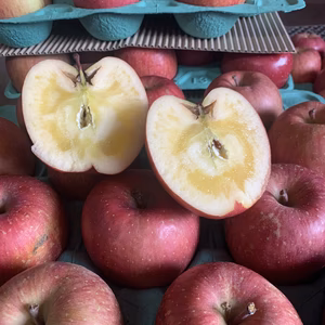 ～青森より直送～※規格外品※完熟サンふじ