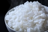 【R5年新米】「こまがた家のお米」有機JAS認証米  極上南魚沼産コシヒカリ 