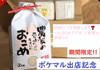 ～6/30迄【４合オマケ付き】令和元年産ひとめぼれ精米2ｋｇ