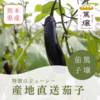 【リピート確定！】篤壌茄子　5kg（秀品）