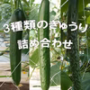 3種類のキュウリの詰め合わせ【クール冷蔵】