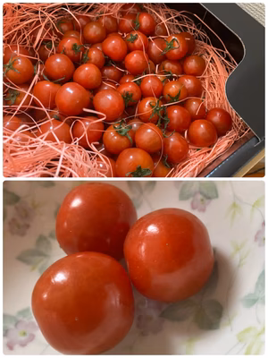 みんなの投稿の画像