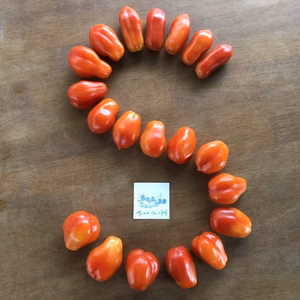 サンマルツァーノ・トマト