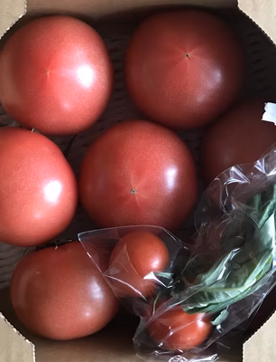 みんなの投稿の画像