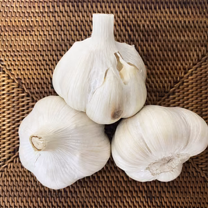 【送料無料・おまけ付き】青森県産ニンニク（特大2Lサイズ1kg・割れ等あり）