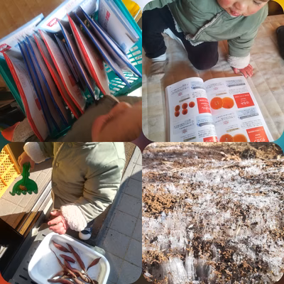 みんなの投稿の画像