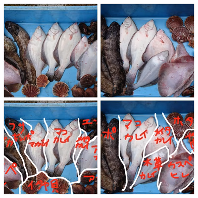 みんなの投稿の画像