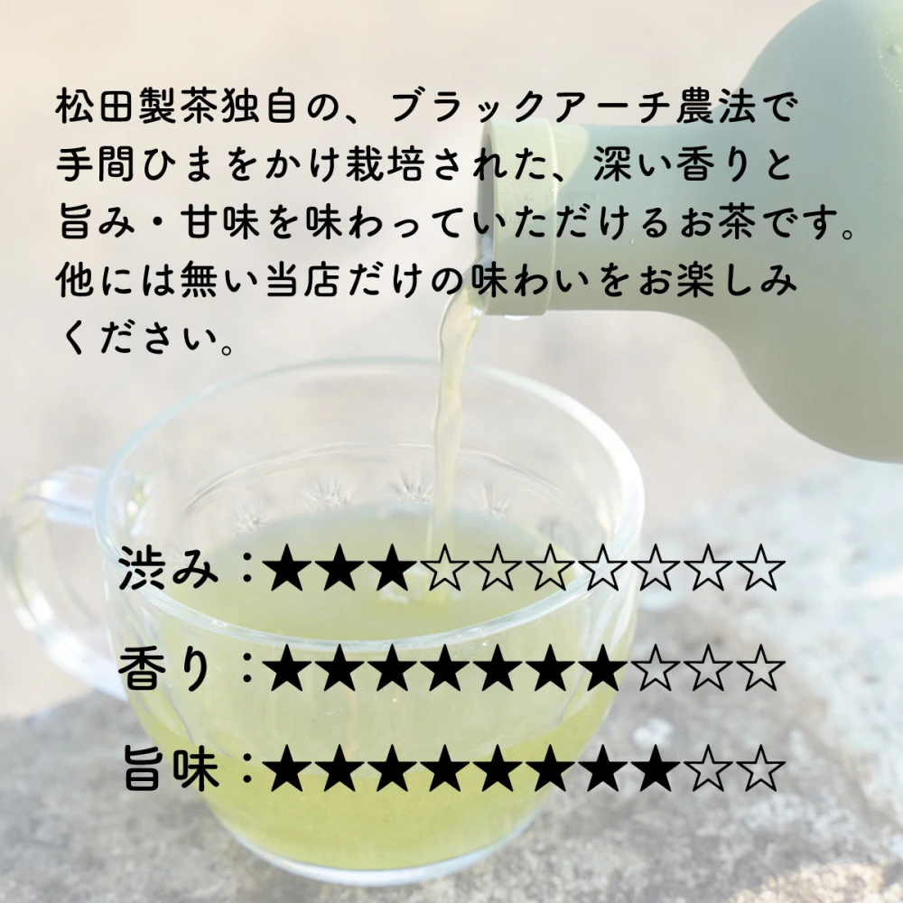 【店長イチオシ】水出し緑茶／5g×25 送料無料 猿島茶 TBG-023