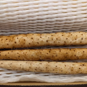 【カット品】ほど良い粘りと風味豊かな自然薯【農薬・化学肥料不使用】