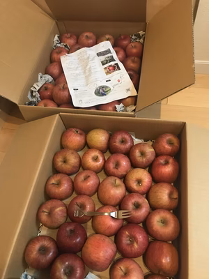 みんなの投稿の画像