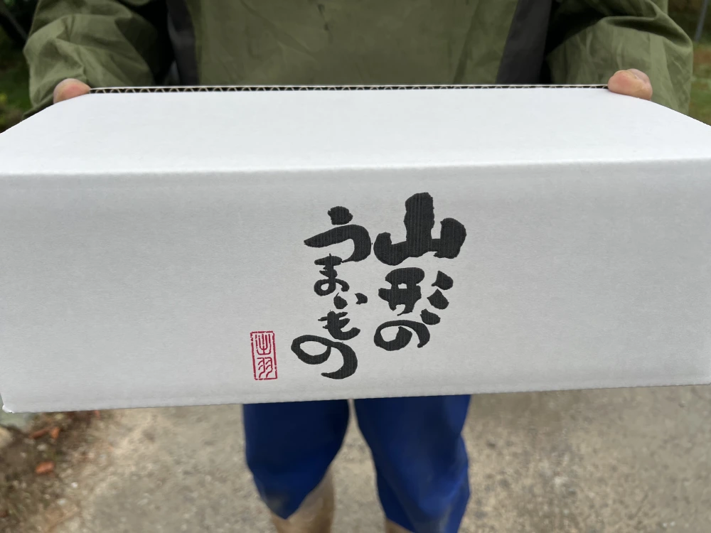 家庭用　りんご紅白詰め7個〜9個入り