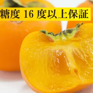 10月予約【和歌山】感動果物たねなし柿【糖度16度以上保証】