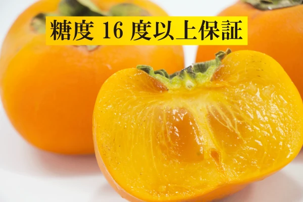 【10月上下旬予約】感動果物たねなし柿【糖度16度以上保証】
