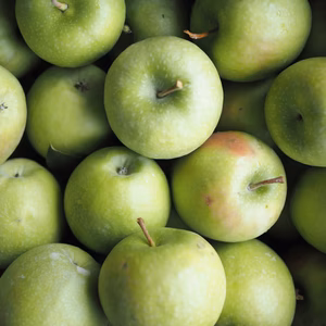 【グラニースミス】酸味の効いたあおりんご/ネオニコ系不使用/特別栽培