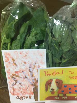 みんなの投稿の画像