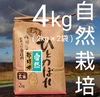 お米の旨味たっぷり自然栽培２年産「ひとめぼれ玄米」４kg