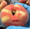 訳あり品　コンポート用　桃　あかつき　クール便