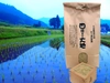 コシヒカリ玄米5㎏　新米
