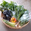 自然栽培・季節のおまかせ野菜セット　ほぼ固定種・在来種・自家採種も