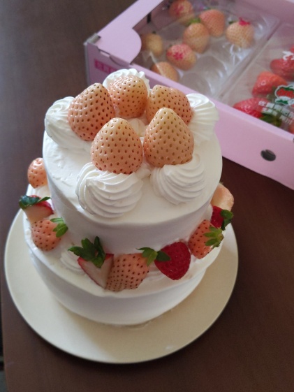 岸川農園の通販 岸川 勝さん 農家漁師から産地直送の通販 ポケットマルシェ